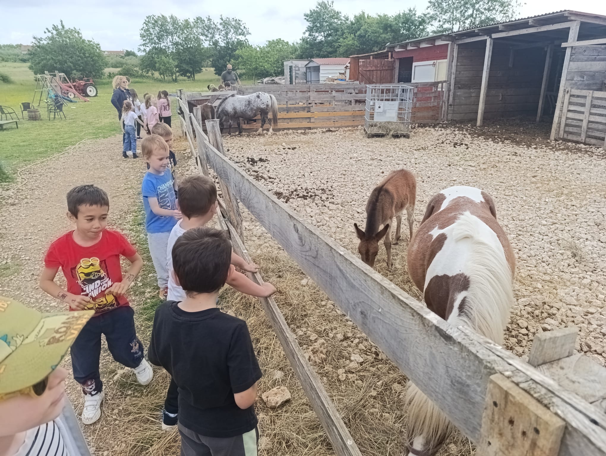 WhatsApp Image 2025 05 22 at 13.44.18